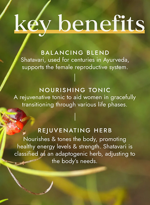 Organic Shatavari