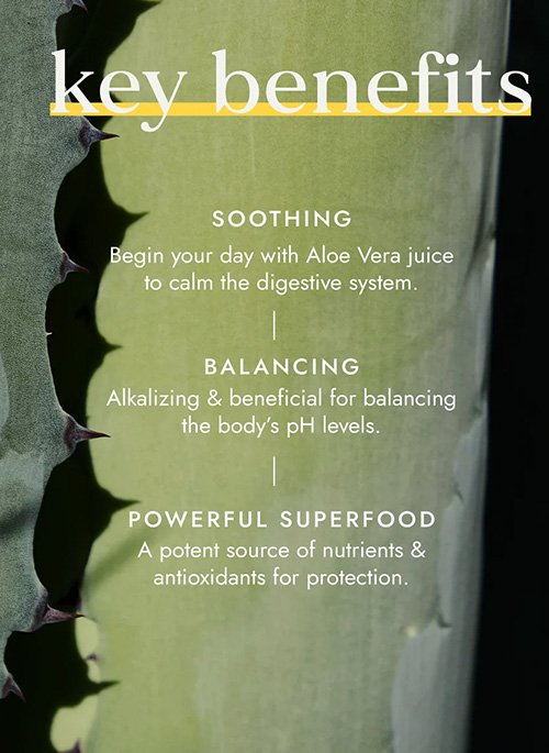 Aloe Vera Juice