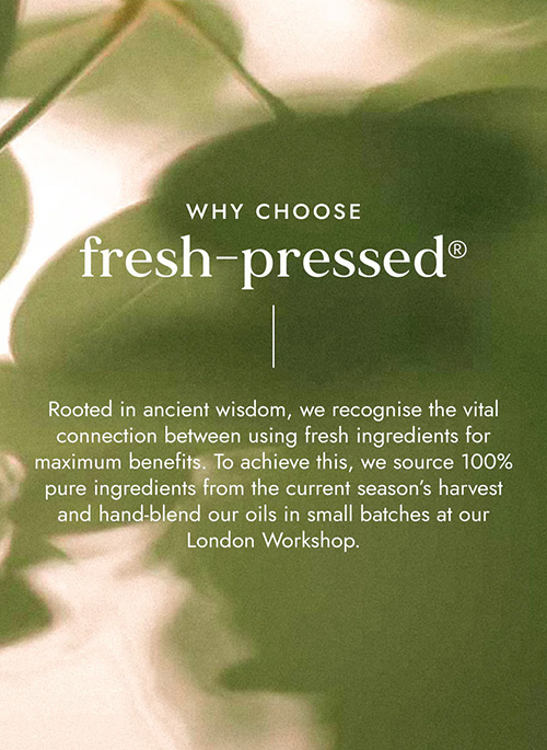 Moringa Oil