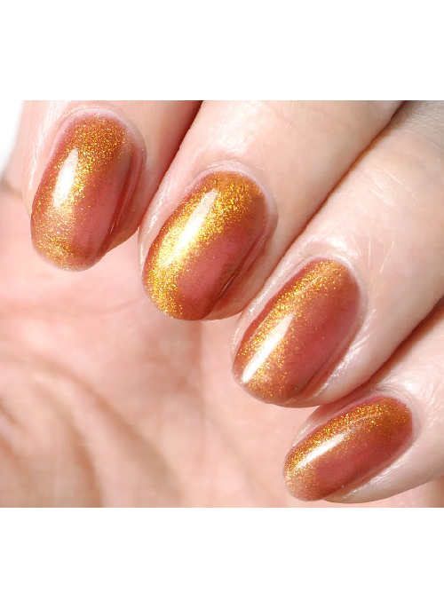 Magnet Nail Polish