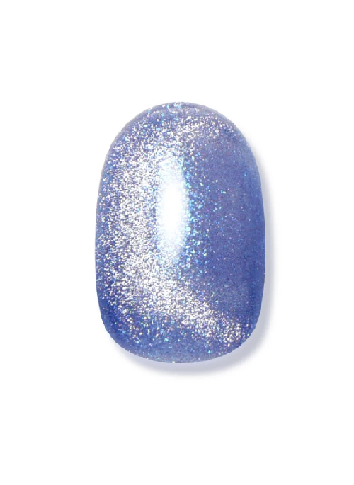  Magnet Nail Polish