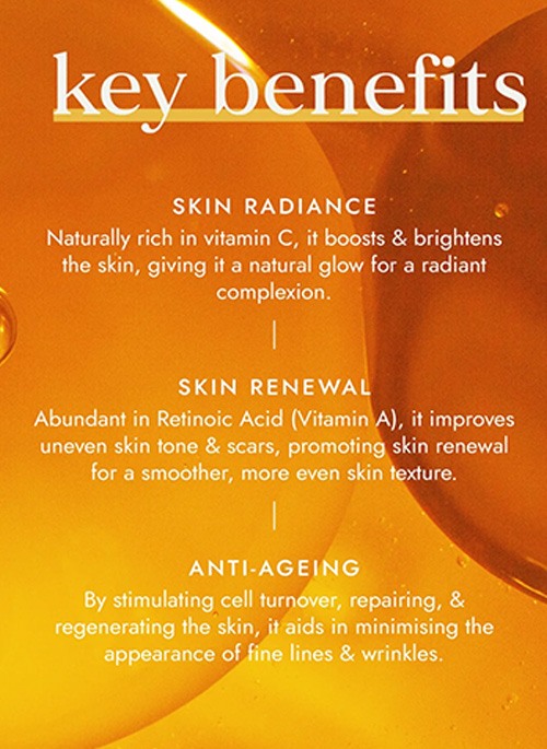 Organic Rosehip Oil 30ml
