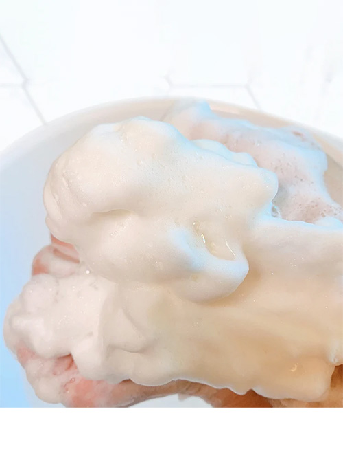 Matcha & Chia Enzyme Powder Wash + Foaming Net