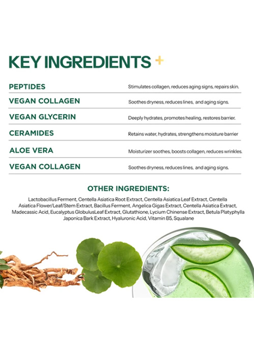 Face Cream Daily Moisturizer