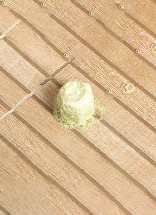 Shower Steamer Bundle