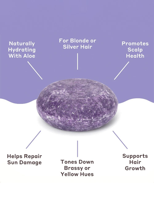 Purple Shampoo and Conditioner 