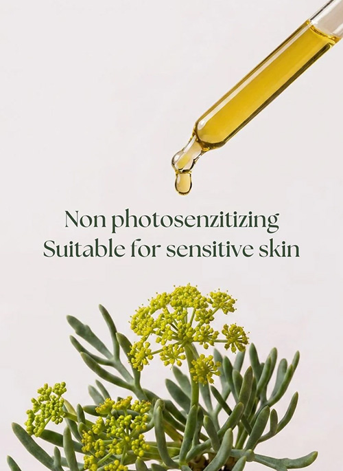 ABSOLUTE BERRY Bio Retinol Face Oil