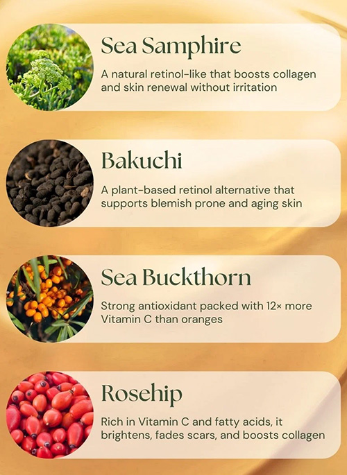 ABSOLUTE BERRY Bio Retinol Face Oil