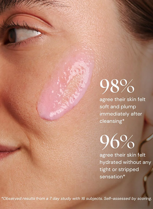 PLUM MELT Exosome Amino Cleanser