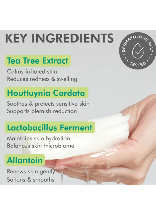 Dermal Tea-Tree Quick Mask