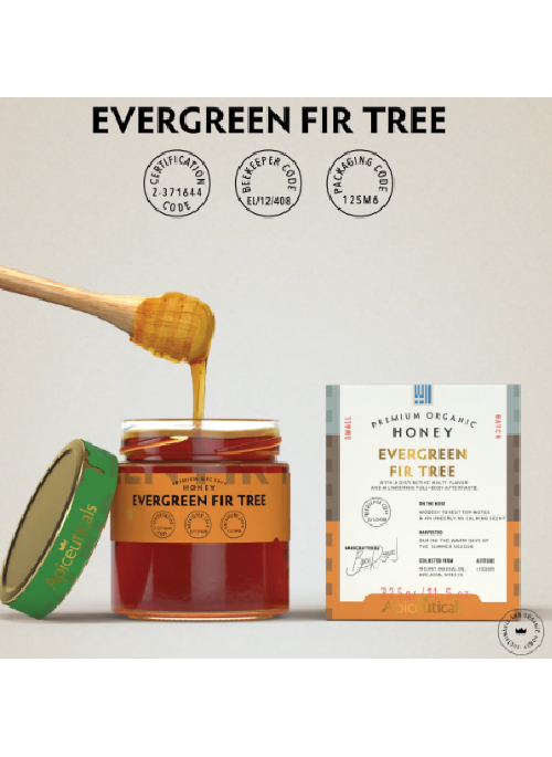 Evergreen Fir Tree