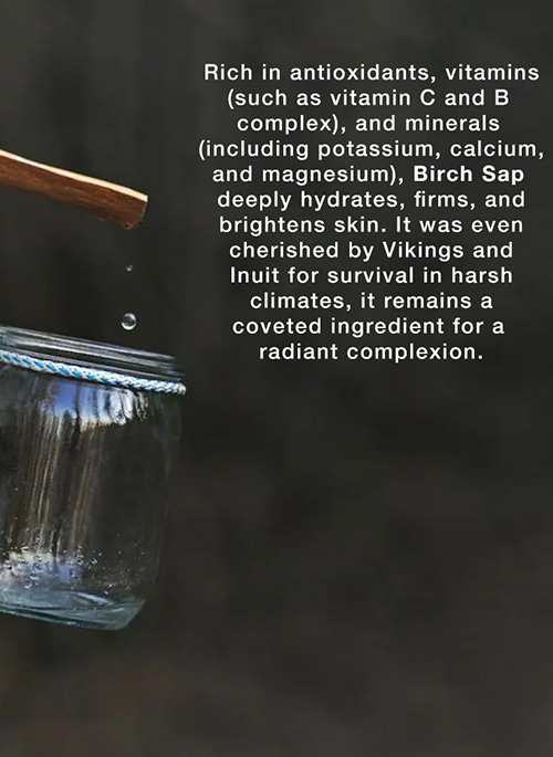 Birch Sap Facial Toner