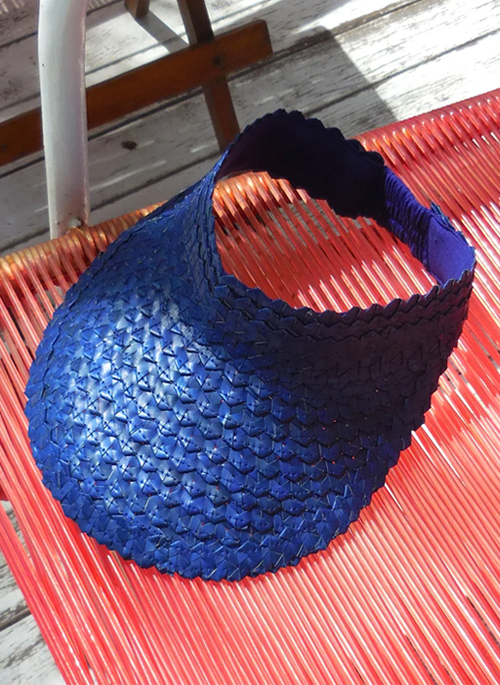 Palm Visor